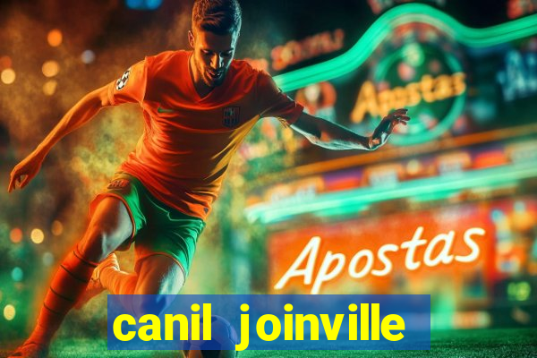 canil joinville vila nova